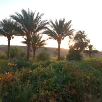زمین-مسکونی