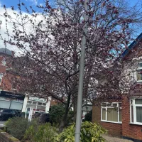 اجاره مغازه پاساژ برهان