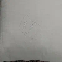 بالشت پَر