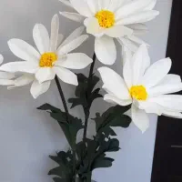 گل در همه رنگ|گل مصنوعی|رشت, پاستوریزه|دیوار