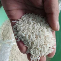 برنج طارم هاشمی اعلا صادراتی