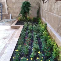 باغبانی هرس کاری تیلر زدن تعویض گلدان گل خاک کود|خدمات باغبانی و درختکاری|مشهد, نوید|دیوار