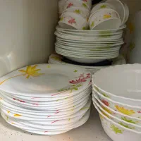 ظروف ارکوپال برند پارس اوپال