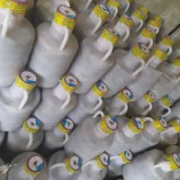 پخش خیارشور نول همدان|خوردنی و آشامیدنی|ملارد, |دیوار