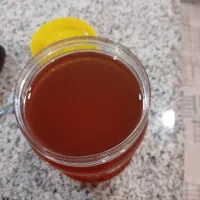 عسل طبیعی کوهستان|خوردنی و آشامیدنی|بانه, |دیوار