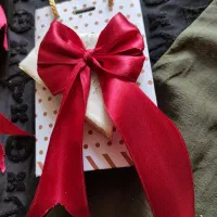 گیره پاپیونی به قیمت عمده|زیورآلات و اکسسوری|بندر امام خمینی, |دیوار