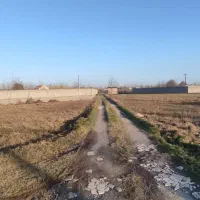 220 متر زمین داخل طرح/به همراه کانکس 6 متری