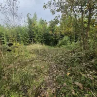 3000متر خانه ویلایی کوچصفهان/سنگر/لولمان|فروش خانه و ویلا|کوچصفهان, |دیوار