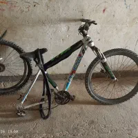 دوچرخه 26 PHOENIX