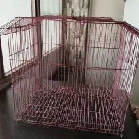انواع قفس|لوازم جانبی حیوانات|قدس, شهر‌قدس|دیوار