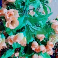 گل مصنوعی|گل مصنوعی|زاهدان, |دیوار