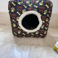 خانه سگ