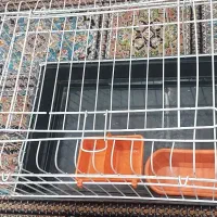 قفس همستر و خوکچه هندی و خرگوش و...|لوازم جانبی حیوانات|اصفهان, الهیه|دیوار