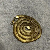 زنجیر ماری مردانه 60سانت طلایی|جواهرات|رباطکریم, رباطکریم|دیوار