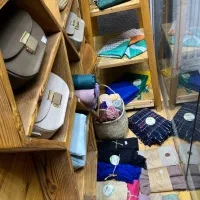 ویترین چوبی نراد به همراه کفی چوب|فروشگاه و مغازه|بندر انزلی, سپه|دیوار