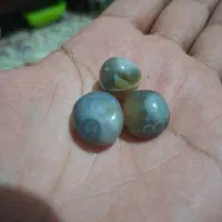 مهره سلیمانی اصل