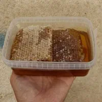 عسل کوهای کردستان|خوردنی و آشامیدنی|رشت, گیل|دیوار