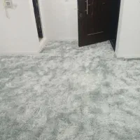 موکت پرزبلند و پرز کوتاه پالاز و لوپ(شرکتی)|موکت|بندرعباس, |دیوار