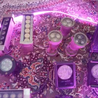 روشنایی|ریسه و چراغ تزئینی|تهران, طیب|دیوار