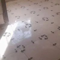 کاشی کاری سنگ کاری لکه گیری|خدمات پیشه و مهارت|گرگان, |دیوار