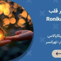 برج اعیان نشین برای سخت پسندان( رونیکا پالاس)