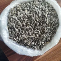 تخمه نمکی درجه یک