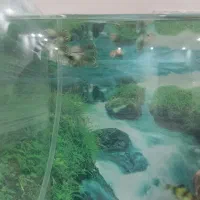 آکواریوم بزرگ سالم