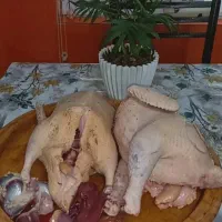 محصولات محلی|خوردنی و آشامیدنی|رشت, بوسار|دیوار