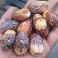 فتگگرنکتو پیمازو و بادلمی مضافتی