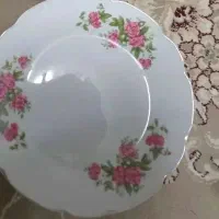 فروش دیس چینی وبشقاب بزرگ گل قرمز|ظروف سرو و پذیرایی|فولادشهر, C8|دیوار