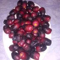 خرما دست چین