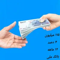 فروش وام ۱۱۵ میلیونی ۴ درصد