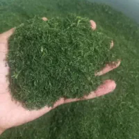 سبزی مارکت دلسا با ارائه انواع سبزیجات تازه و خشک|خوردنی و آشامیدنی|صدرا-فارس, فاز ۲|دیوار