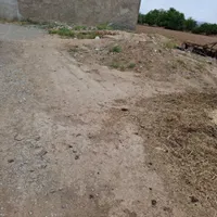 زمین مسکونی|خوردنی و آشامیدنی|شیروان (خراسان), |دیوار