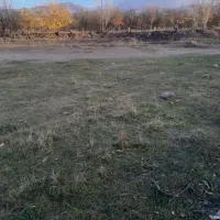 زمین در قره درویش|فروش زمین و ملک کلنگی|مشگین شهر, |دیوار