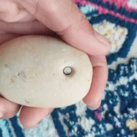 مهره  کلکسیونی .
