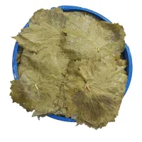 ترشیجات خانگی کدبانو۱۰۰٪ تضمینی|خوردنی و آشامیدنی|دهگلان, |دیوار