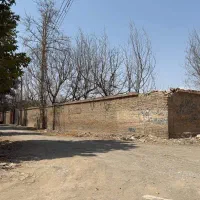 باغچه ۵۰۰ متری زیبادشت زیر قیمت|فروش زمین و ملک کلنگی|محمدشهر, زیبادشت|دیوار