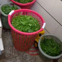 سبزی خورشتی بخار پز  با عطر بو بسیارعالی