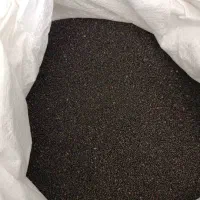 انواع کلزا دلگان هایولا ار جی اس|خدمات باغبانی و درختکاری|آق قلا, |دیوار