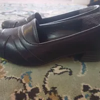 کفش درحدنو