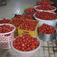 عرض سلام وادب خدمت تمامی عزیزان.