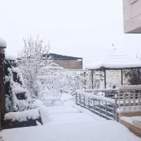 خانه-باغ-همه-چیز-تمام