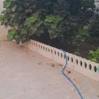 باغبانی|خدمات باغبانی و درختکاری|شوشتر, |دیوار