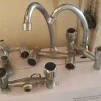 فروش شیر چهار گانه باغی