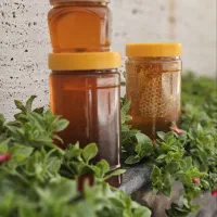 عسل کوهی با ساکاراز زیر( 3درصد)|خوردنی و آشامیدنی|رشت, شهرک صنعتی|دیوار