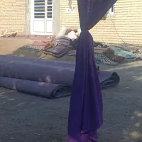 موکت اجاره ای|موکت|کهنوج, |دیوار