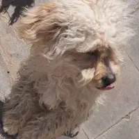 ب دلیل جا به جا