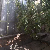 تسوج فروش خانه کلنگی|فروش خانه و ویلا|تسوج, |دیوار