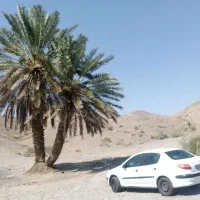 خودرو ۲۰۶ صندوق دار مدل ۱۳۸۹